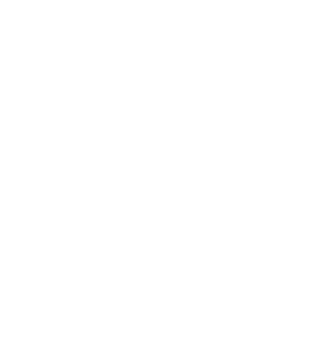 sheildcheck-white-icon